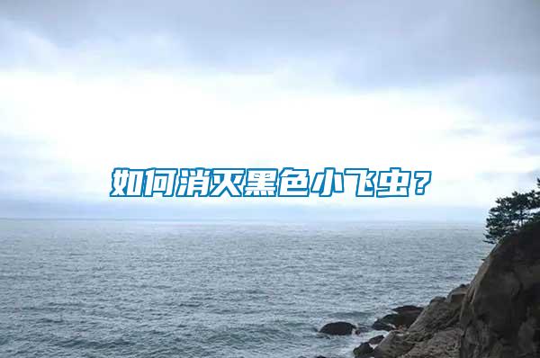 如何消滅黑色小飛蟲？