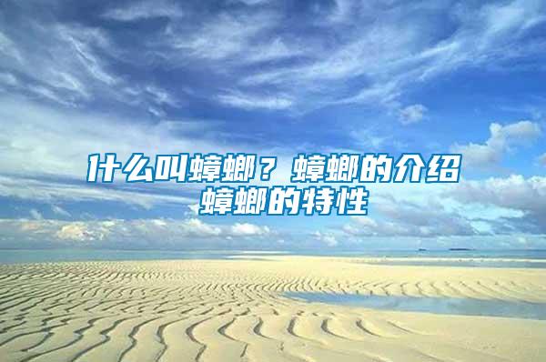 什么叫蟑螂？蟑螂的介紹 蟑螂的特性