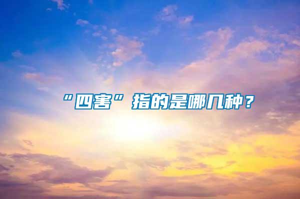 “四害”指的是哪幾種？
