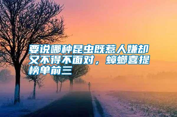 要說哪種昆蟲既惹人嫌卻又不得不面對(duì)，蟑螂喜提榜單前三