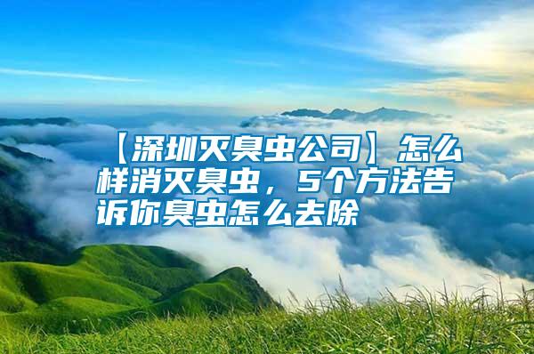 【深圳滅臭蟲公司】怎么樣消滅臭蟲，5個方法告訴你臭蟲怎么去除