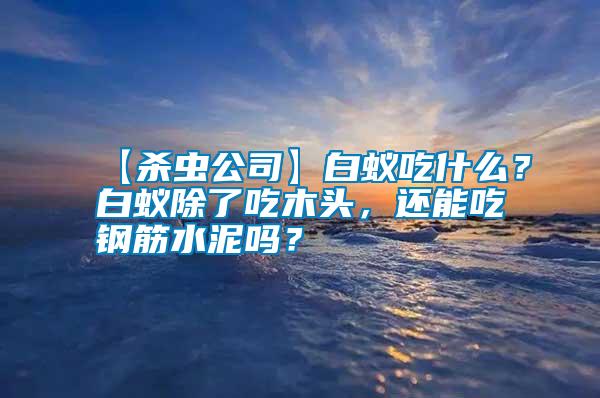 【殺蟲公司】白蟻吃什么？白蟻除了吃木頭，還能吃鋼筋水泥嗎？
