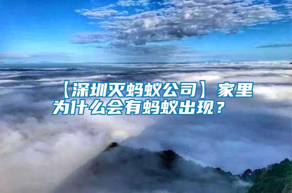 【深圳滅螞蟻公司】家里為什么會有螞蟻出現？
