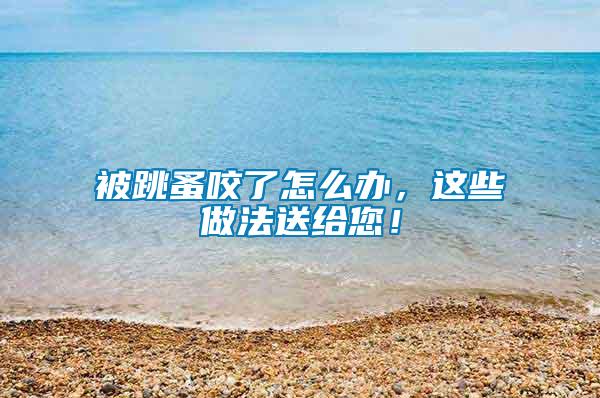 被跳蚤咬了怎么辦，這些做法送給您！