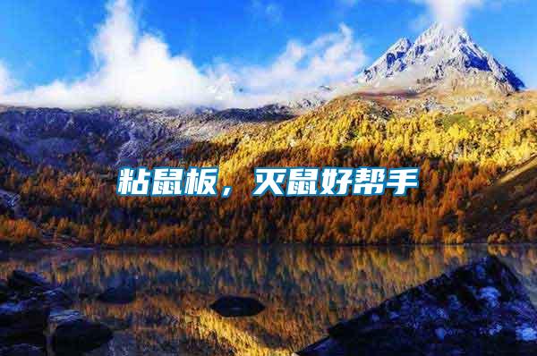 粘鼠板，滅鼠好幫手