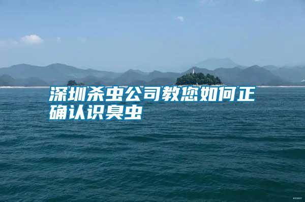 深圳殺蟲(chóng)公司教您如何正確認(rèn)識(shí)臭蟲(chóng)