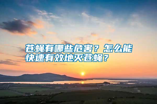 蒼蠅有哪些危害？怎么能快速有效地滅蒼蠅？