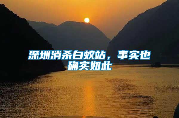 深圳消殺白蟻站，事實(shí)也確實(shí)如此