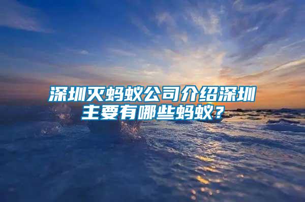 深圳滅螞蟻公司介紹深圳主要有哪些螞蟻？