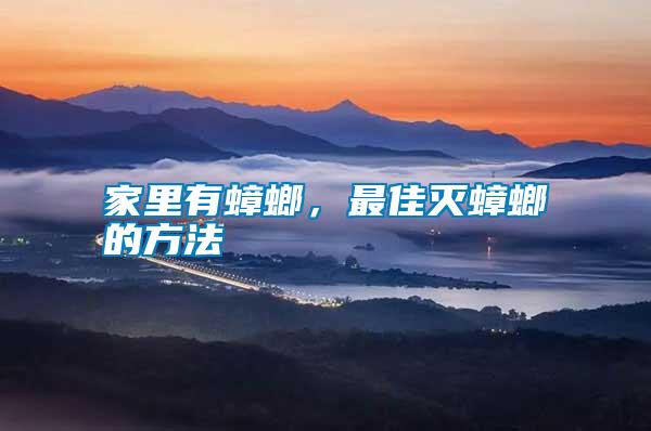 家里有蟑螂，最佳滅蟑螂的方法