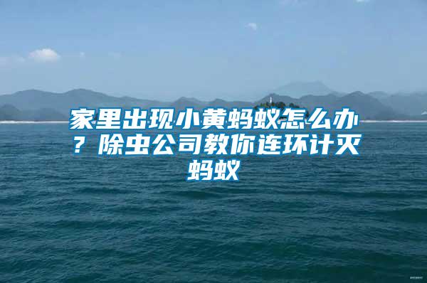 家里出現(xiàn)小黃螞蟻怎么辦？除蟲(chóng)公司教你連環(huán)計(jì)滅螞蟻
