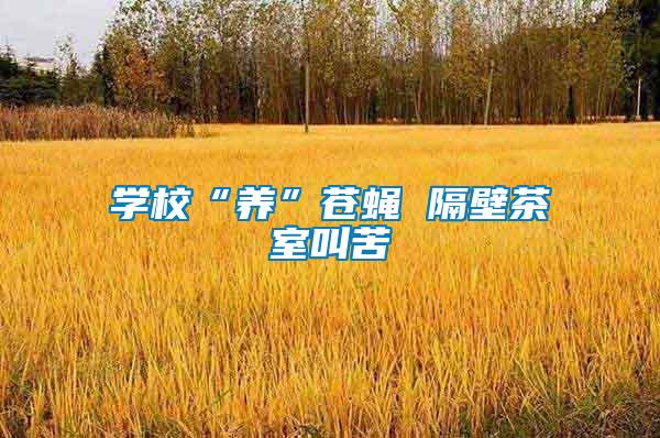 學(xué)?！梆B(yǎng)”蒼蠅 隔壁茶室叫苦
