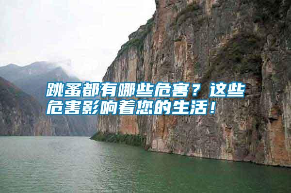 跳蚤都有哪些危害？這些危害影響著您的生活！