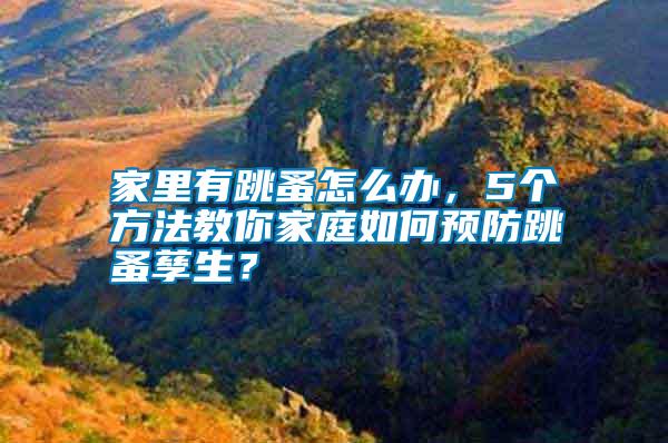 家里有跳蚤怎么辦，5個方法教你家庭如何預(yù)防跳蚤孳生？