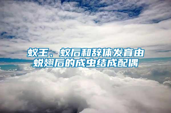 蟻王、蟻后和辭體發(fā)育由蛻翅后的成蟲結(jié)成配偶