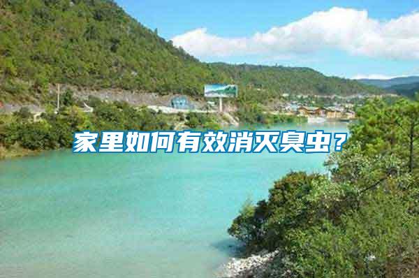 家里如何有效消滅臭蟲？