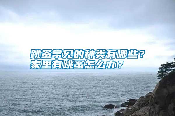 跳蚤常見的種類有哪些？家里有跳蚤怎么辦？