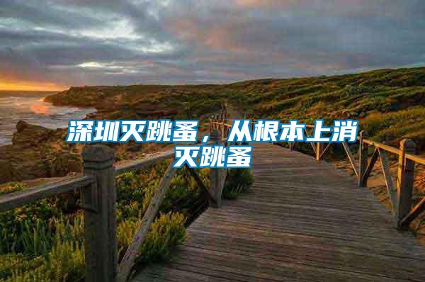 深圳滅跳蚤，從根本上消滅跳蚤