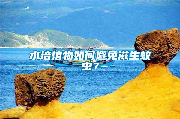 水培植物如何避免滋生蚊蟲？