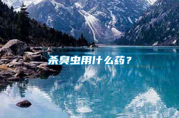 殺臭蟲用什么藥？