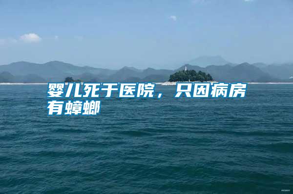 嬰兒死于醫(yī)院，只因病房有蟑螂