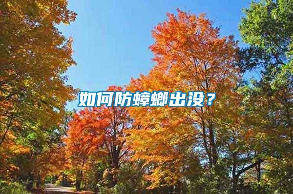 如何防蟑螂出沒？