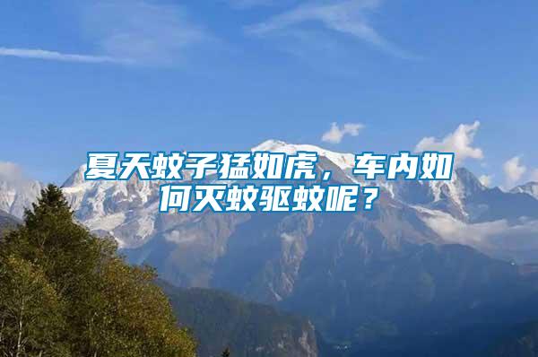 夏天蚊子猛如虎，車內(nèi)如何滅蚊驅(qū)蚊呢？