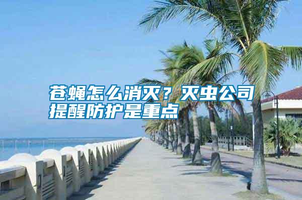 蒼蠅怎么消滅？滅蟲公司提醒防護是重點
