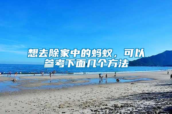 想去除家中的螞蟻，可以參考下面幾個方法