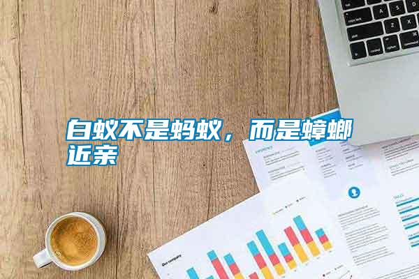 白蟻不是螞蟻，而是蟑螂近親