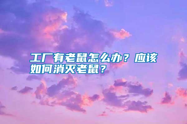 工廠有老鼠怎么辦？應(yīng)該如何消滅老鼠？