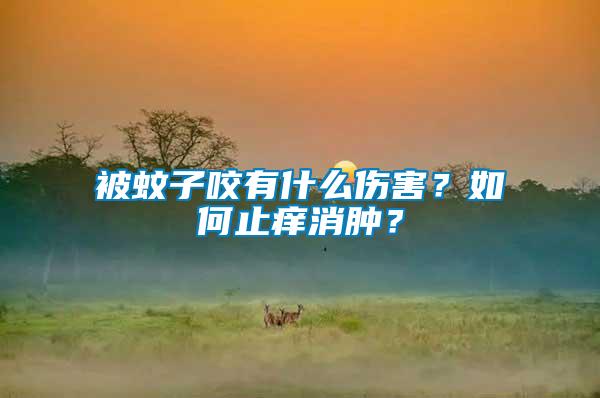 被蚊子咬有什么傷害？如何止癢消腫？