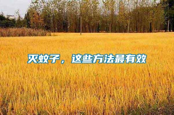 滅蚊子，這些方法最有效