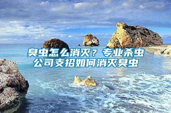 臭蟲(chóng)怎么消滅？專業(yè)殺蟲(chóng)公司支招如何消滅臭蟲(chóng)