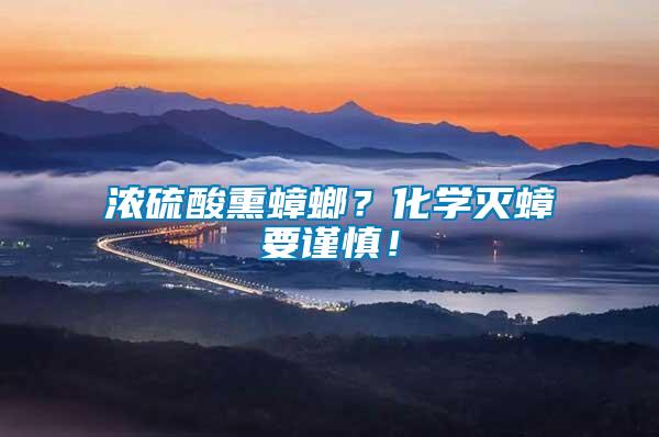濃硫酸熏蟑螂？化學滅蟑要謹慎！