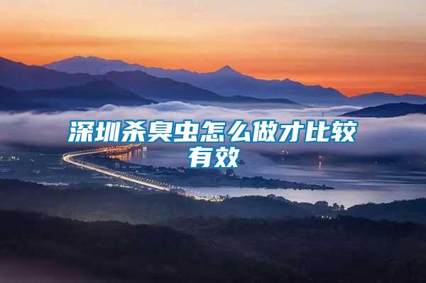 深圳殺臭蟲(chóng)怎么做才比較有效