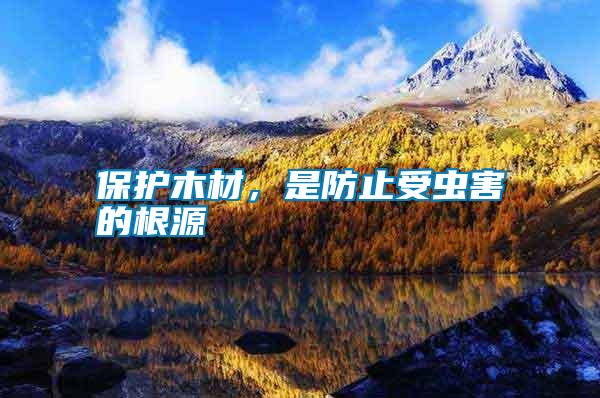 保護(hù)木材，是防止受蟲害的根源