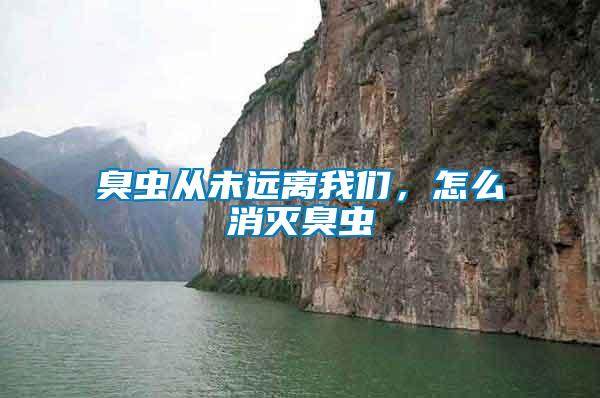 臭蟲從未遠(yuǎn)離我們，怎么消滅臭蟲