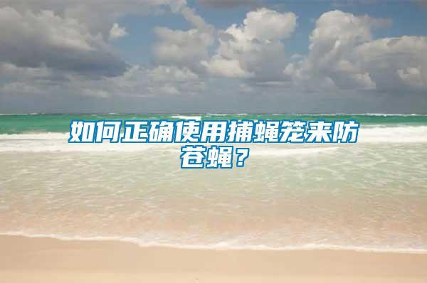 如何正確使用捕蠅籠來防蒼蠅？