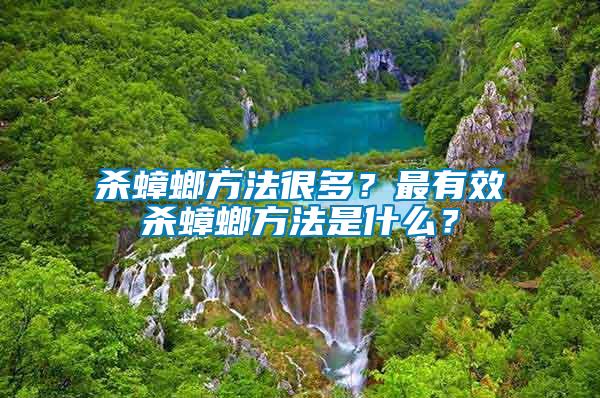 殺蟑螂方法很多？最有效殺蟑螂方法是什么？