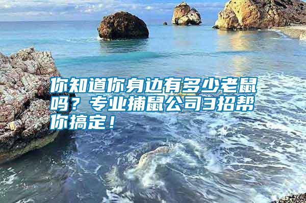 你知道你身邊有多少老鼠嗎？專業(yè)捕鼠公司3招幫你搞定！