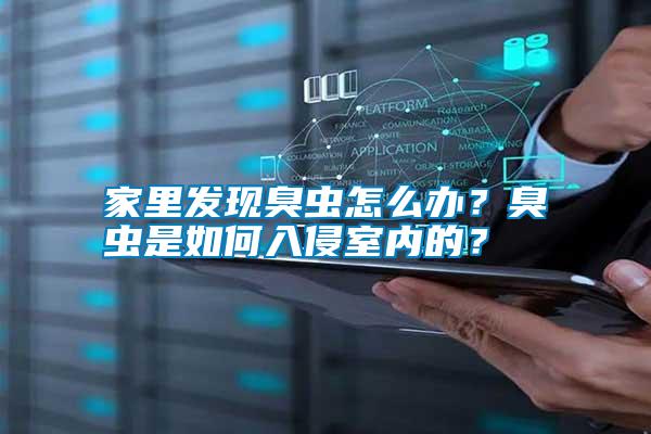 家里發(fā)現(xiàn)臭蟲怎么辦？臭蟲是如何入侵室內(nèi)的？