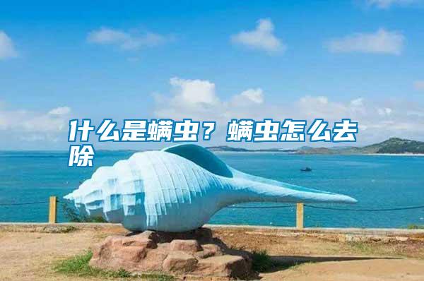 什么是螨蟲？螨蟲怎么去除