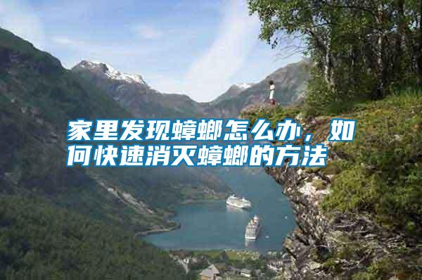 家里發(fā)現(xiàn)蟑螂怎么辦，如何快速消滅蟑螂的方法