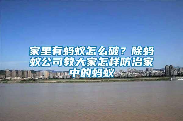 家里有螞蟻怎么破？除螞蟻公司教大家怎樣防治家中的螞蟻