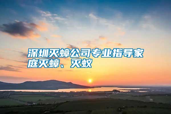 深圳滅蟑公司專業(yè)指導家庭滅蟑、滅蟻