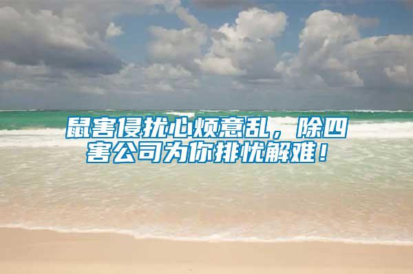 鼠害侵擾心煩意亂，除四害公司為你排憂解難！