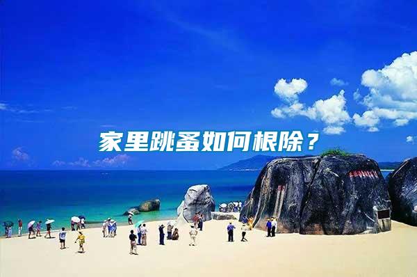 家里跳蚤如何根除？