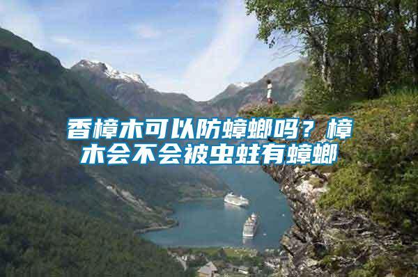 香樟木可以防蟑螂嗎？樟木會(huì)不會(huì)被蟲蛀有蟑螂