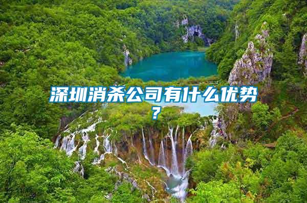 深圳消殺公司有什么優(yōu)勢？